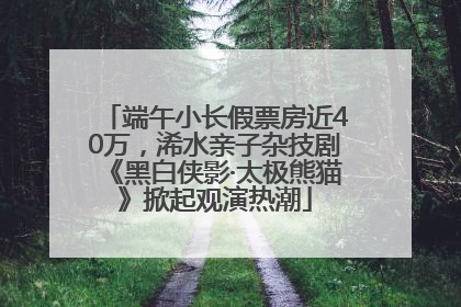 端午小长假票房近40万，浠水亲子杂技剧《黑白侠影·太极熊猫》掀起观演热潮