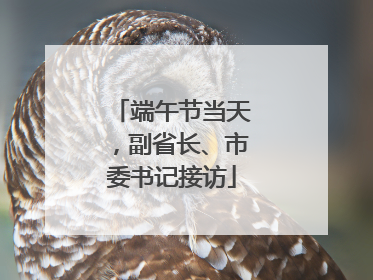端午节当天，副省长、市委书记接访