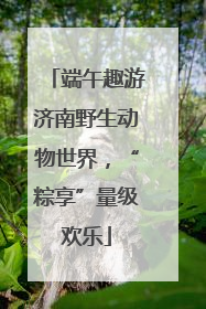 端午趣游济南野生动物世界，“粽享”量级欢乐