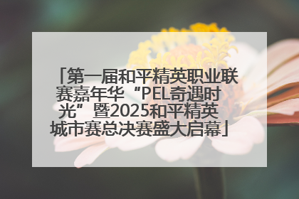 第一届和平精英职业联赛嘉年华“PEL奇遇时光”暨2025和平精英城市赛总决赛盛大启幕