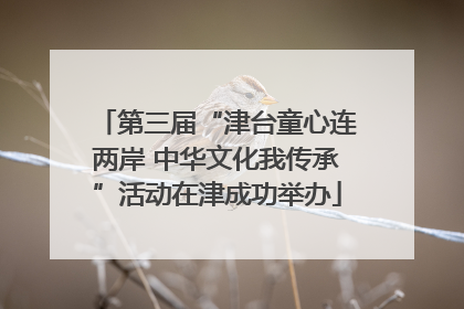 第三届“津台童心连两岸 中华文化我传承”活动在津成功举办
