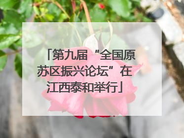 第九届“全国原苏区振兴论坛”在江西泰和举行