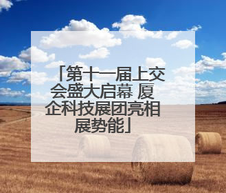 第十一届上交会盛大启幕 厦企科技展团亮相展势能