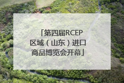 第四届RCEP区域（山东）进口商品博览会开幕