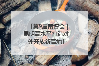 第9届南博会｜昆明高水平打造对外开放新高地