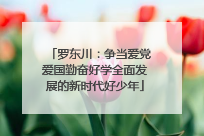 罗东川：争当爱党爱国勤奋好学全面发展的新时代好少年