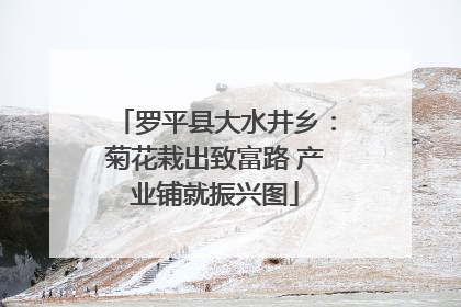 罗平县大水井乡：菊花栽出致富路 产业铺就振兴图