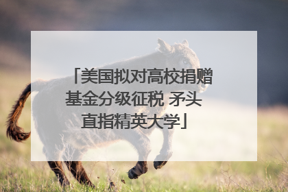 美国拟对高校捐赠基金分级征税 矛头直指精英大学