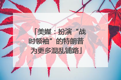 美媒：扮演“战时领袖”的特朗普为更多混乱铺路