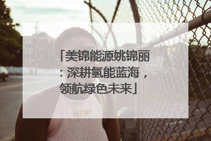 美锦能源姚锦丽：深耕氢能蓝海，领航绿色未来