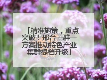 精准施策，重点突破！邢台一群一方案推动特色产业集群提档升级