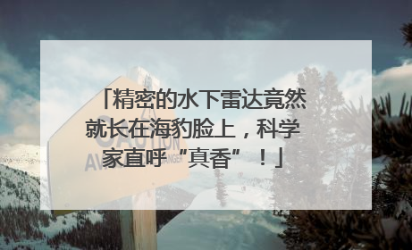 精密的水下雷达竟然就长在海豹脸上，科学家直呼“真香”！