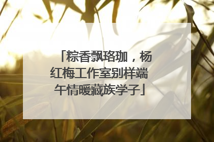 粽香飘珞珈，杨红梅工作室别样端午情暖藏族学子