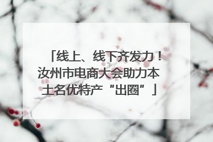 线上、线下齐发力！汝州市电商大会助力本土名优特产“出圈”