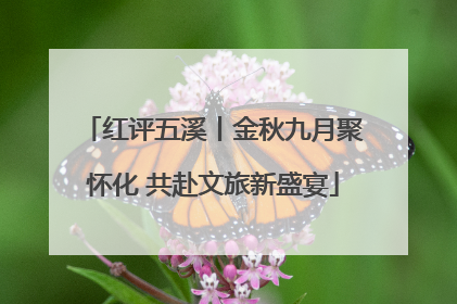 红评五溪丨金秋九月聚怀化 共赴文旅新盛宴