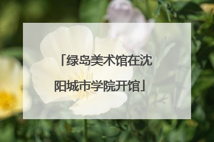 绿岛美术馆在沈阳城市学院开馆
