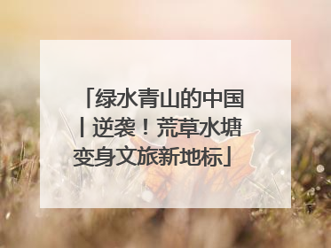 绿水青山的中国丨逆袭！荒草水塘变身文旅新地标