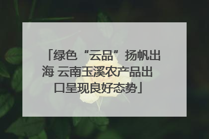 绿色“云品”扬帆出海 云南玉溪农产品出口呈现良好态势