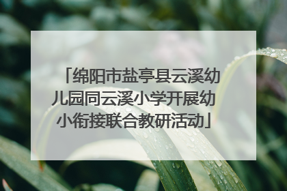 绵阳市盐亭县云溪幼儿园同云溪小学开展幼小衔接联合教研活动
