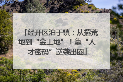 经开区泊于镇：从撂荒地到“金土地”！靠“人才密码”逆袭出圈