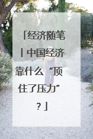 经济随笔丨中国经济靠什么“顶住了压力”？