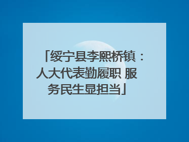 绥宁县李熙桥镇：人大代表勤履职 服务民生显担当