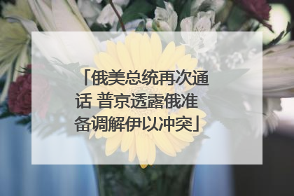 俄美总统再次通话 普京透露俄准备调解伊以冲突