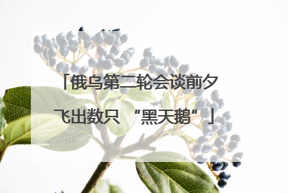 俄乌第二轮会谈前夕 飞出数只 “黑天鹅”