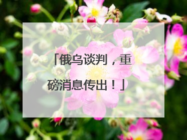 俄乌谈判，重磅消息传出！