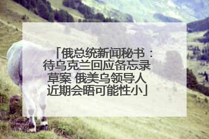 俄总统新闻秘书：待乌克兰回应备忘录草案 俄美乌领导人近期会晤可能性小