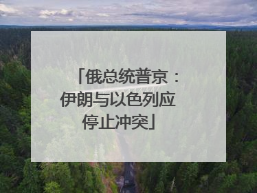 俄总统普京：伊朗与以色列应停止冲突
