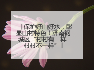 保护好山好水，彰显山村特色！济南钢城区“村村有一样 村村不一样”