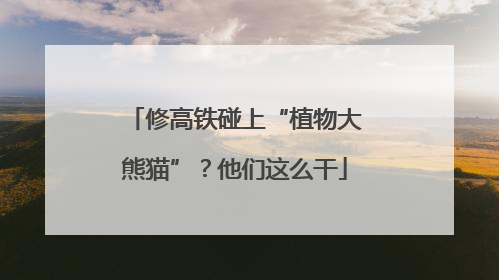 修高铁碰上“植物大熊猫”？他们这么干
