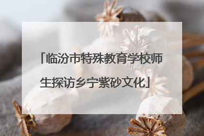 临汾市特殊教育学校师生探访乡宁紫砂文化