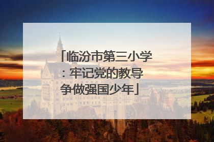 临汾市第三小学：牢记党的教导 争做强国少年