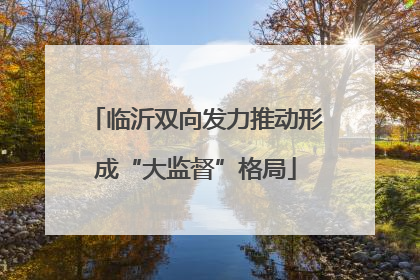 临沂双向发力推动形成“大监督”格局