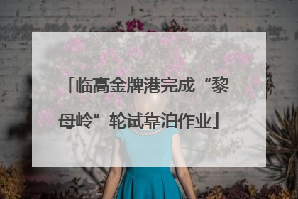 临高金牌港完成“黎母岭”轮试靠泊作业