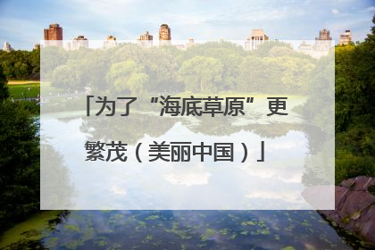 为了“海底草原”更繁茂（美丽中国）