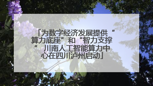 为数字经济发展提供“算力底座”和“智力支撑” 川南人工智能算力中心在四川泸州启动