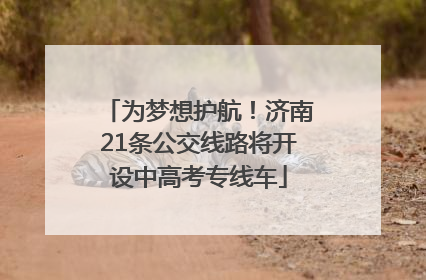 为梦想护航！济南21条公交线路将开设中高考专线车
