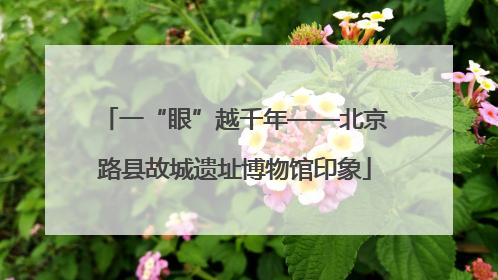 一“眼”越千年——北京路县故城遗址博物馆印象