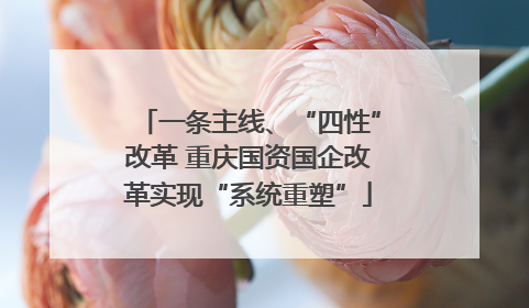 一条主线、“四性”改革 重庆国资国企改革实现“系统重塑”