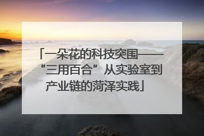 一朵花的科技突围——“三用百合”从实验室到产业链的菏泽实践