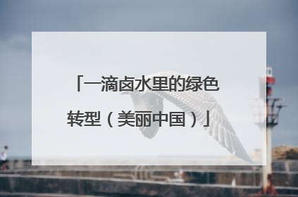 一滴卤水里的绿色转型（美丽中国）