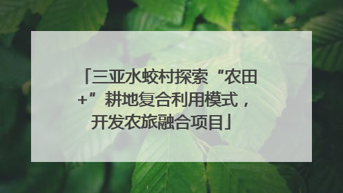 三亚水蛟村探索“农田+”耕地复合利用模式，开发农旅融合项目