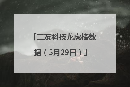 三友科技龙虎榜数据（5月29日）