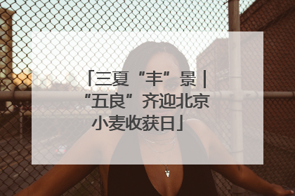 三夏“丰”景｜“五良”齐迎北京小麦收获日