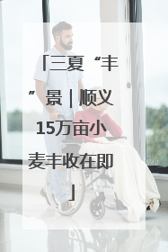 三夏“丰”景｜顺义15万亩小麦丰收在即