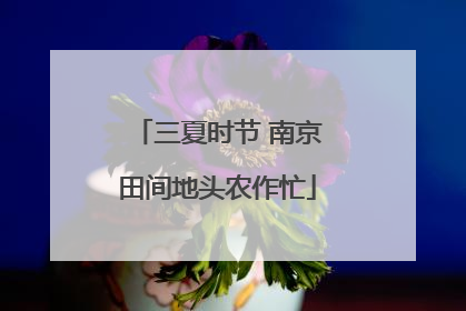 三夏时节 南京田间地头农作忙
