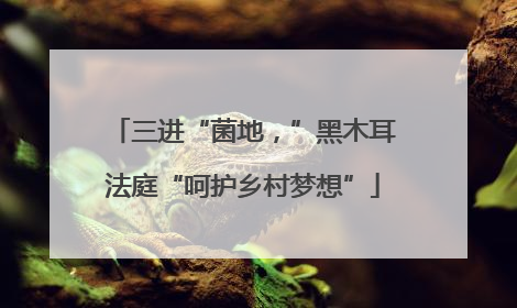 三进“菌地，”黑木耳法庭“呵护乡村梦想”